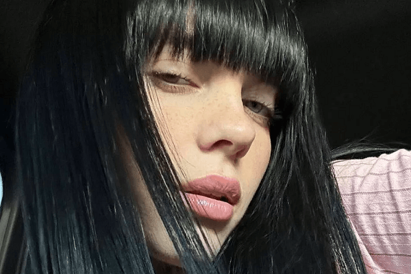 Followers were in meltdown with the Billie Eilish’s sexiest photo ever in a black sheer corset and stockings